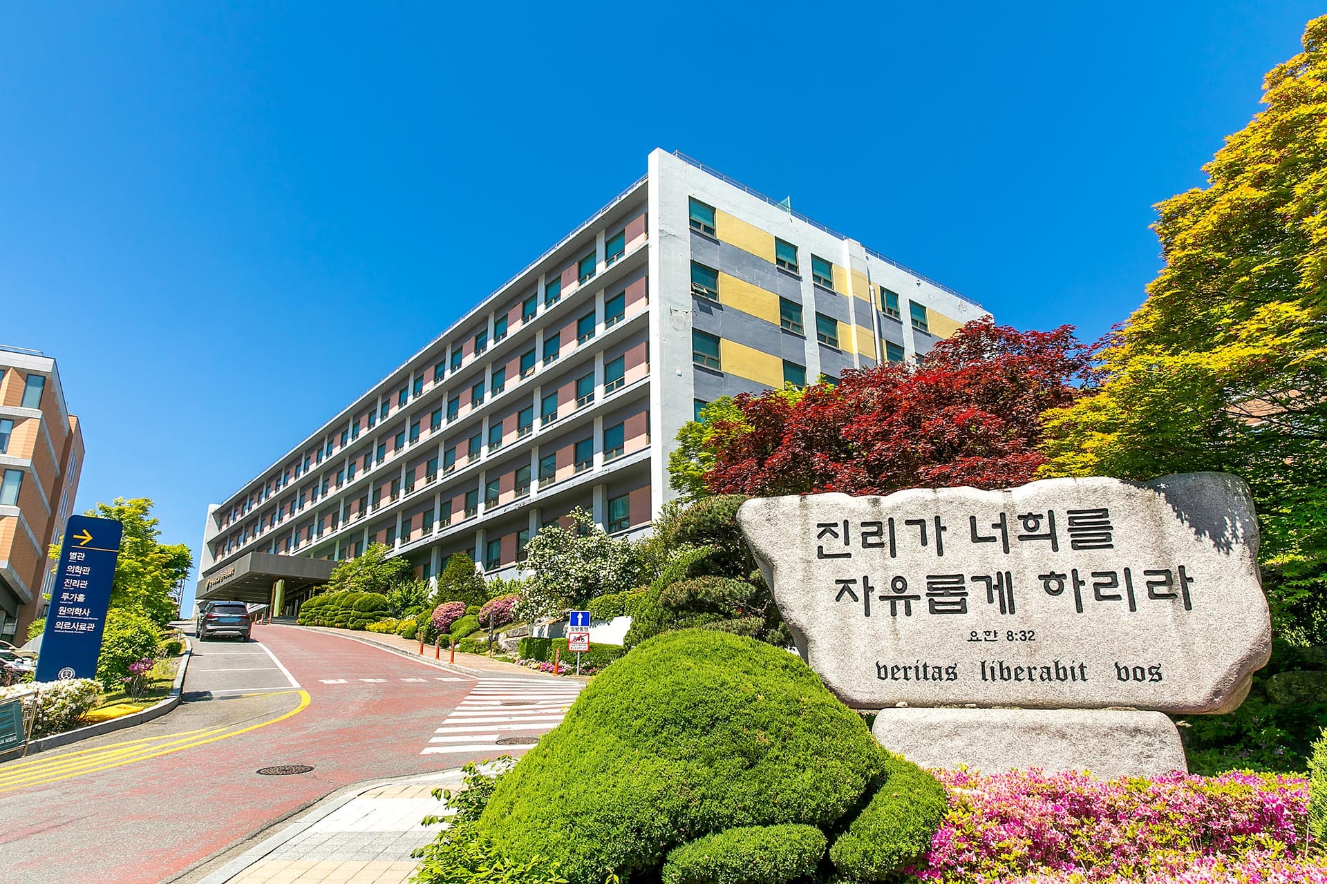 메인 배경 5